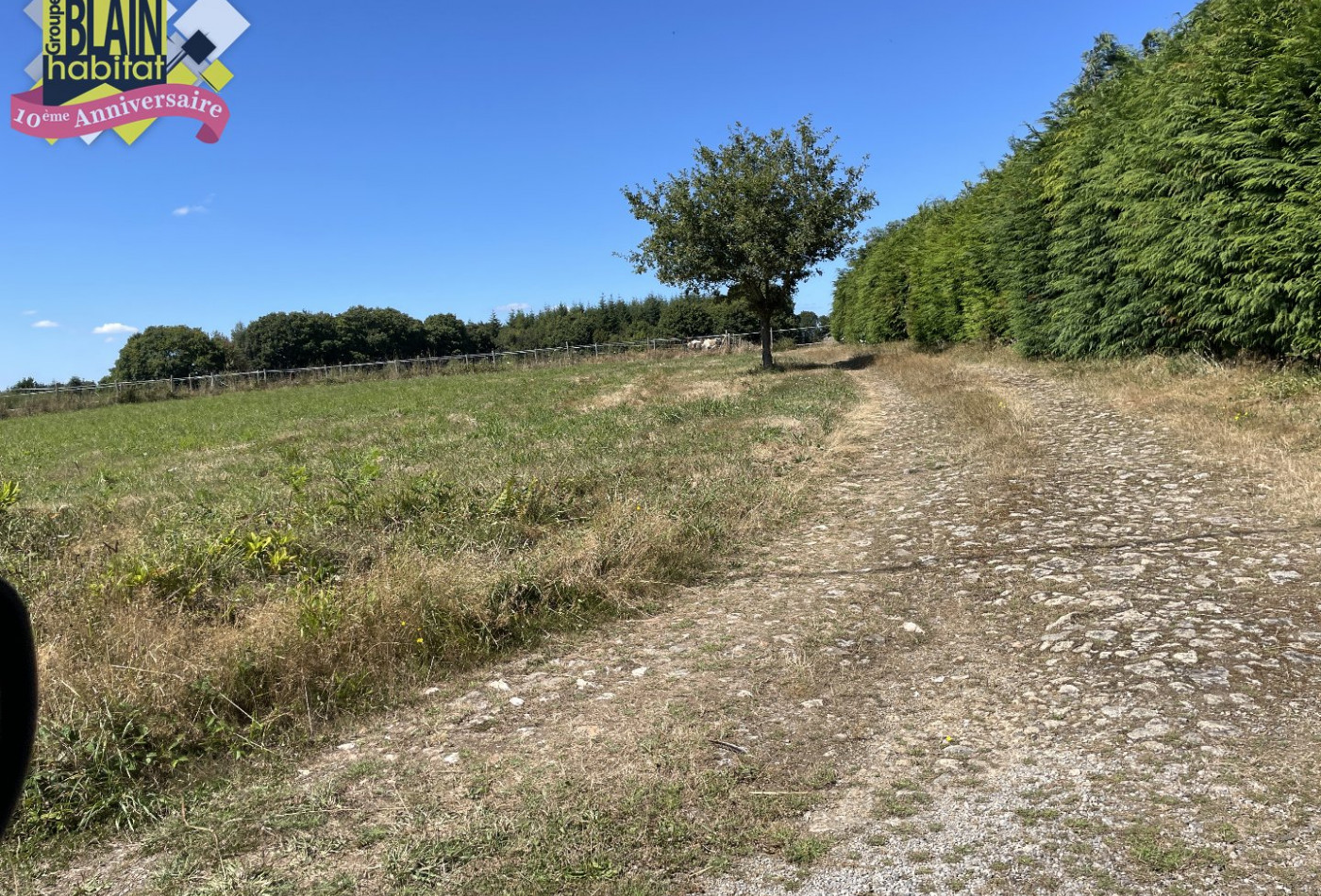 vente Maison Priziac - Photo 4