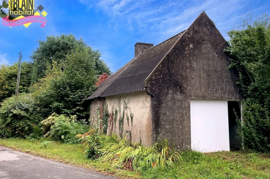 vente Maison Lanvenegen - Photo 1