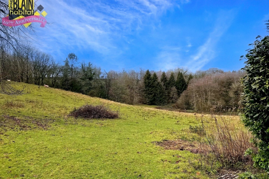 vente Maison Priziac - Photo 6