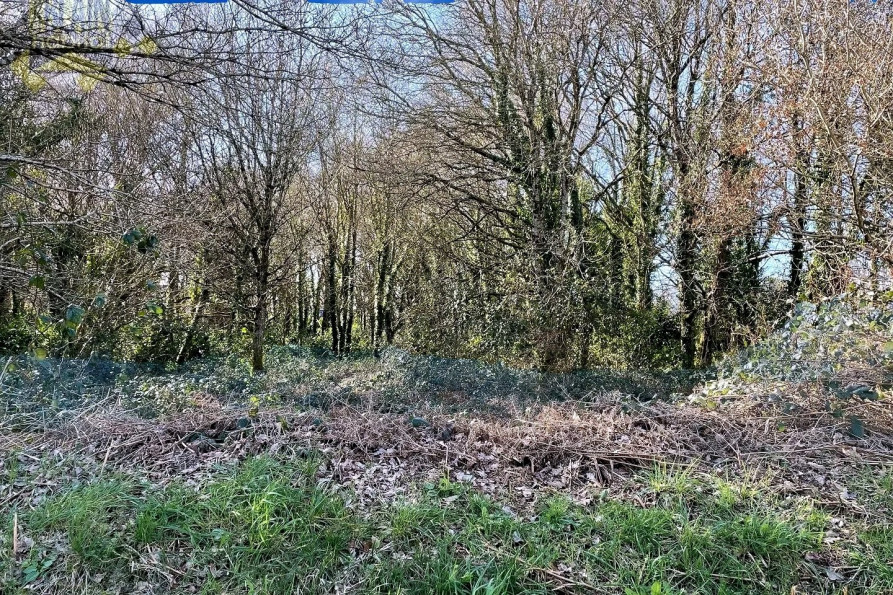 vente Terrain constructible Le Faouet - Photo 2