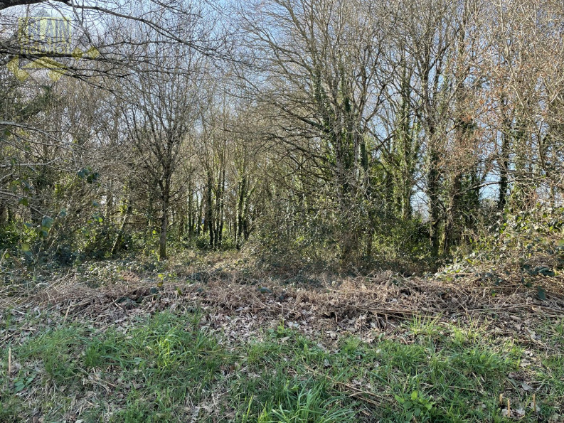 vente Terrain constructible Le Faouet - Photo 5