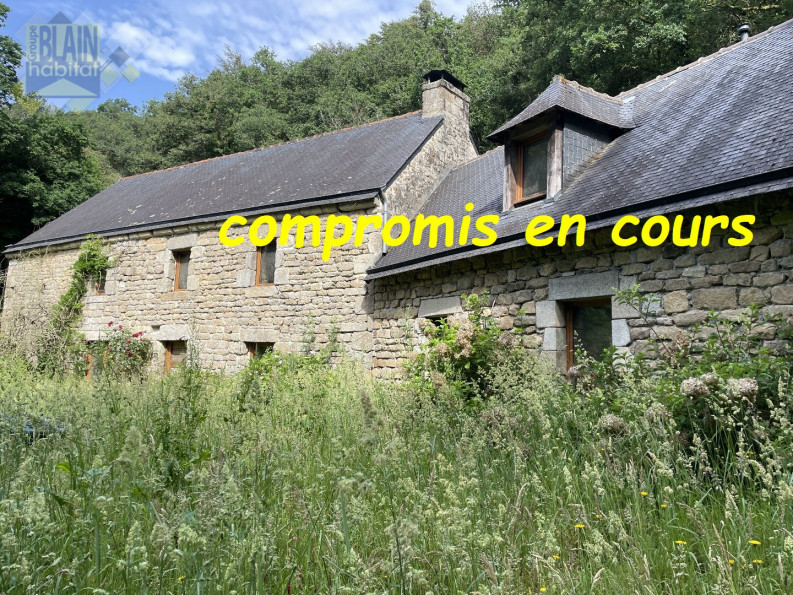 vente Maison Lanvenegen - Photo 1