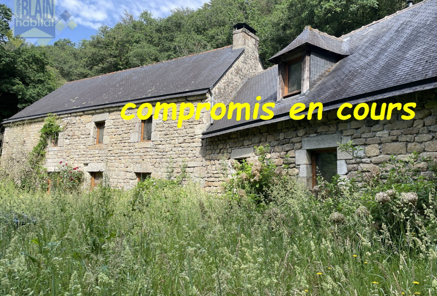 vente Maison Lanvenegen - Photo 1