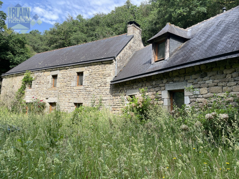 vente Maison Lanvenegen - Photo 1