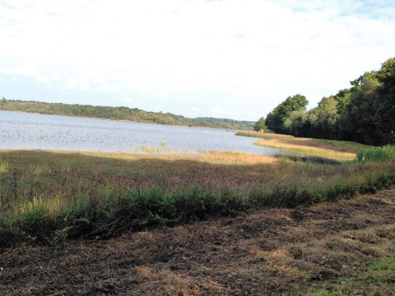 vente Maison Priziac - Photo 6