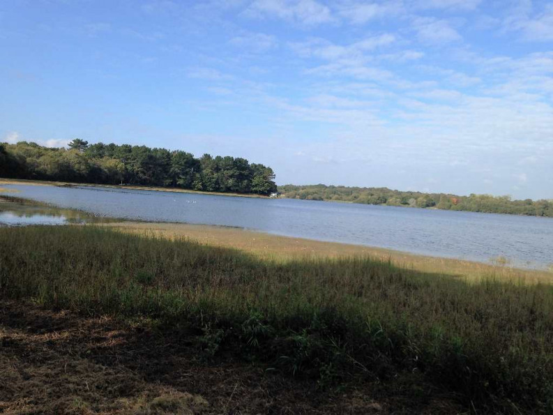 vente Maison Priziac - Photo 2