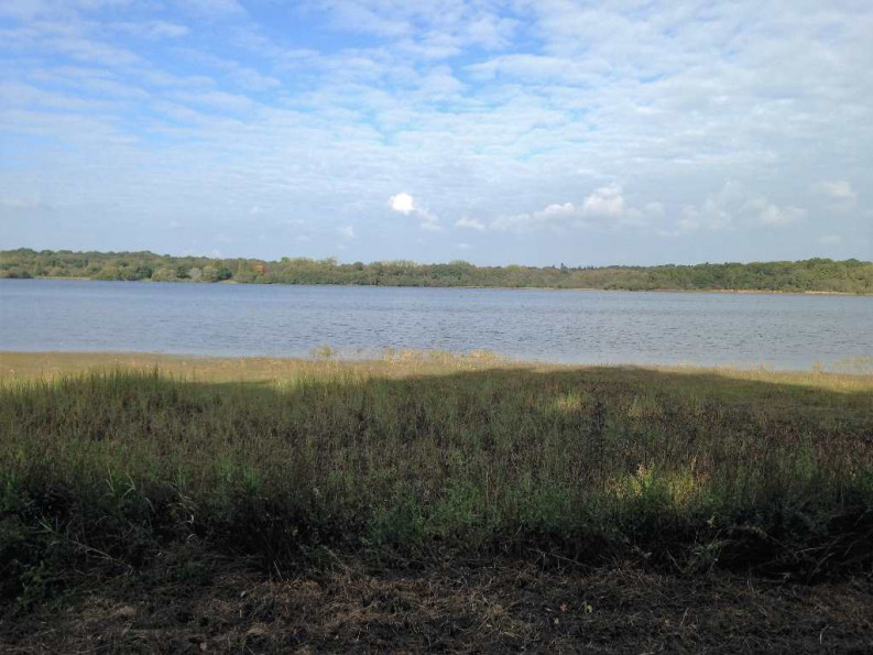 vente Maison Priziac - Photo 5