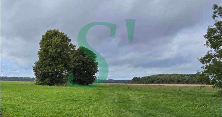 vente Terrain à aménager Marines