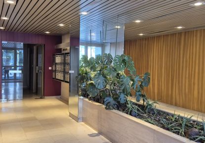 location Bureau Bayonne