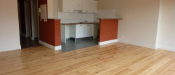 vente Appartement rénové Bayonne