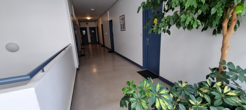 à louer Bureau Bayonne - Photo 1