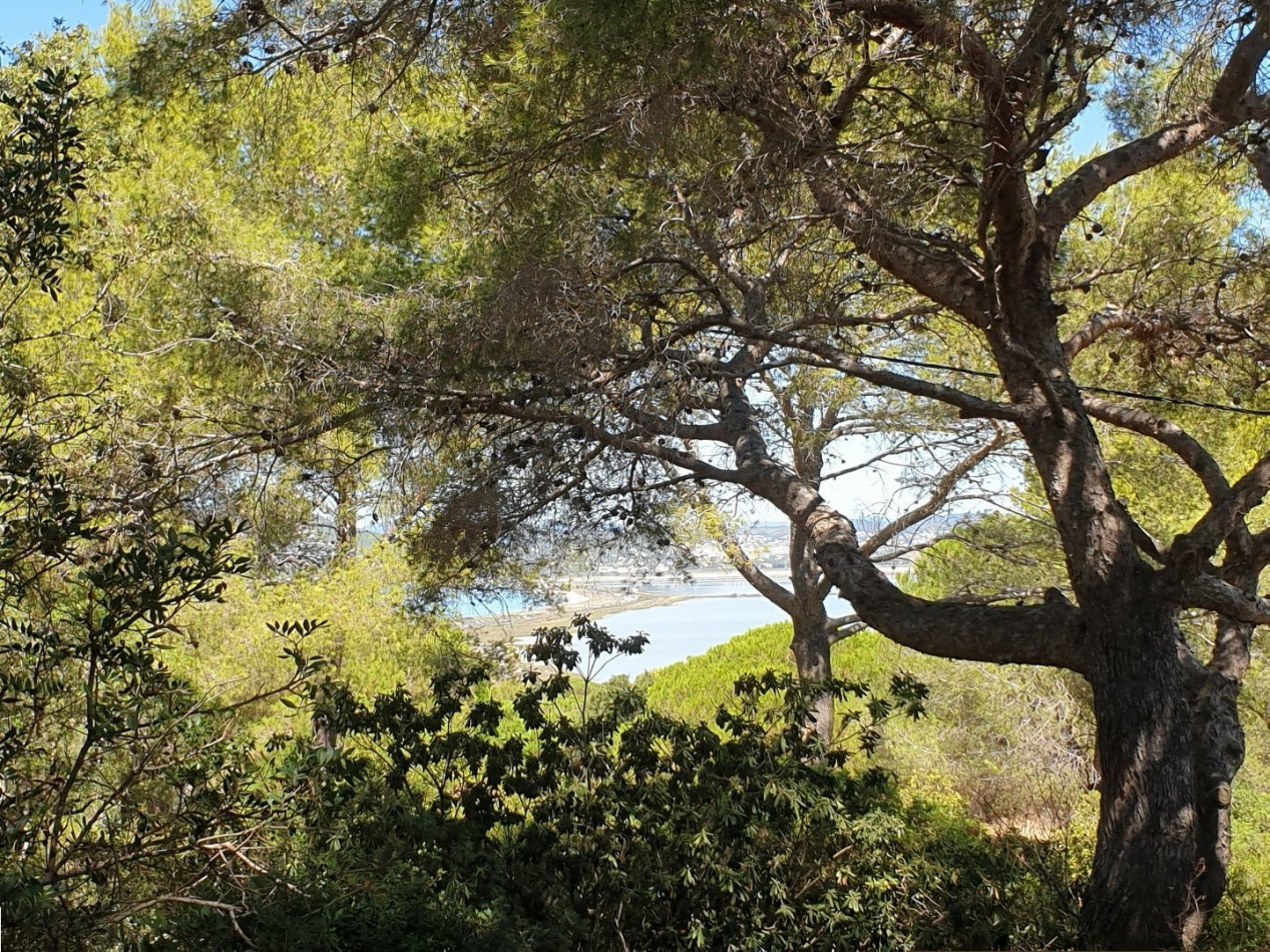 vente Maison Giens - Photo 1
