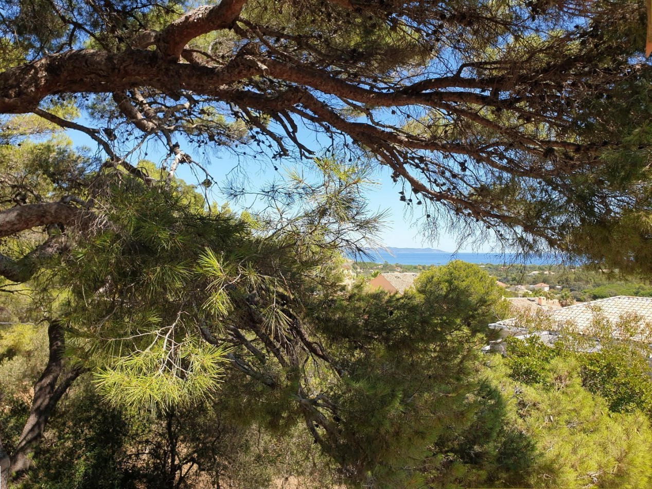 vente Maison Giens - Photo 5