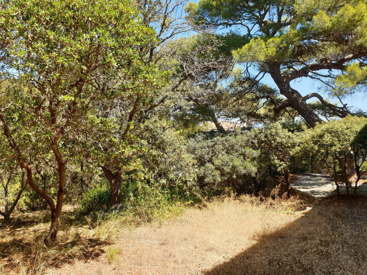 vente Maison Giens - Photo 6
