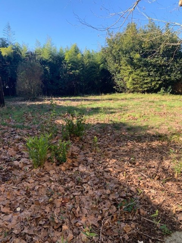 vente Terrain Boucau - Photo 3