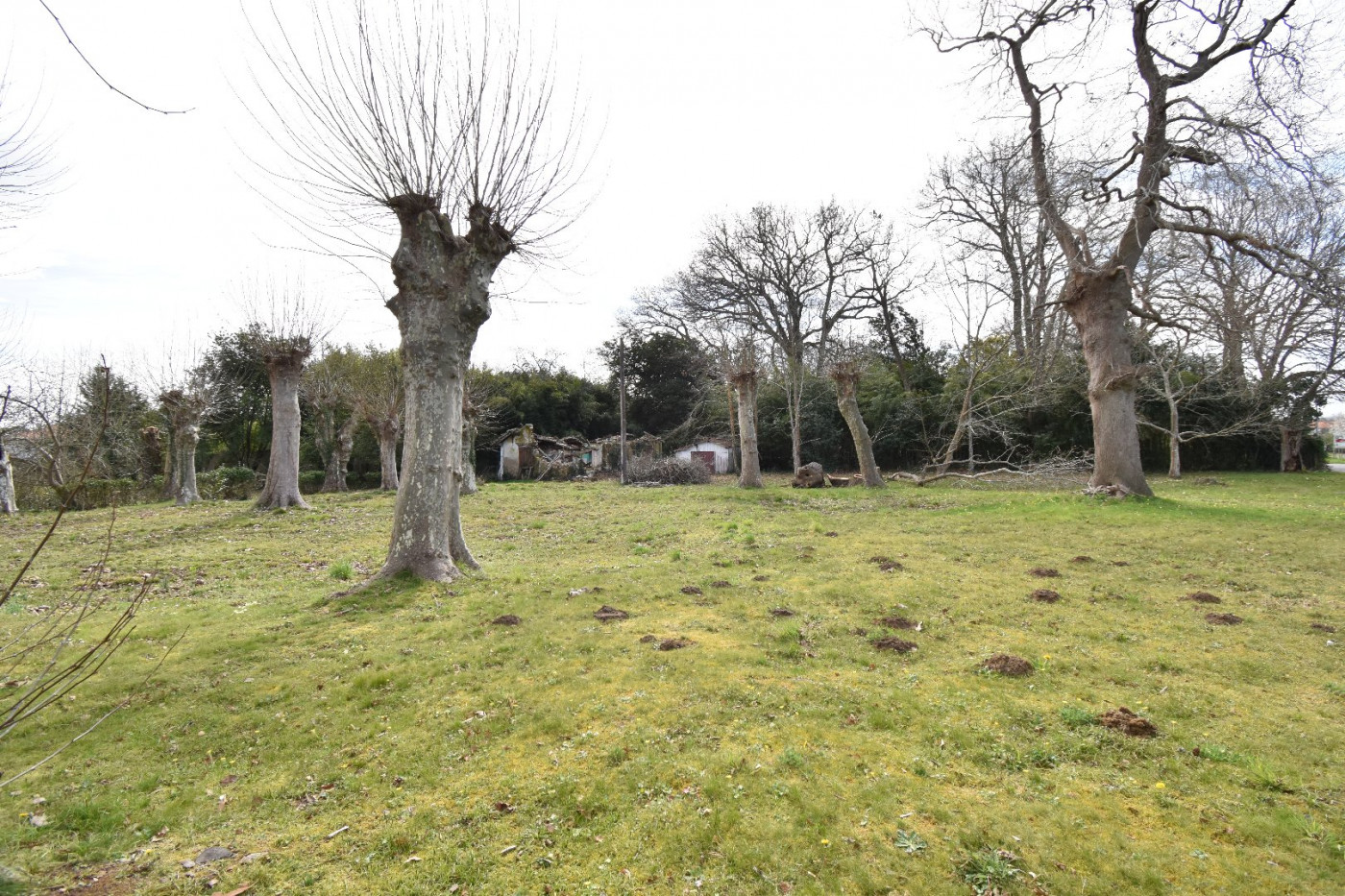 vente Terrain Tarnos - Photo 1