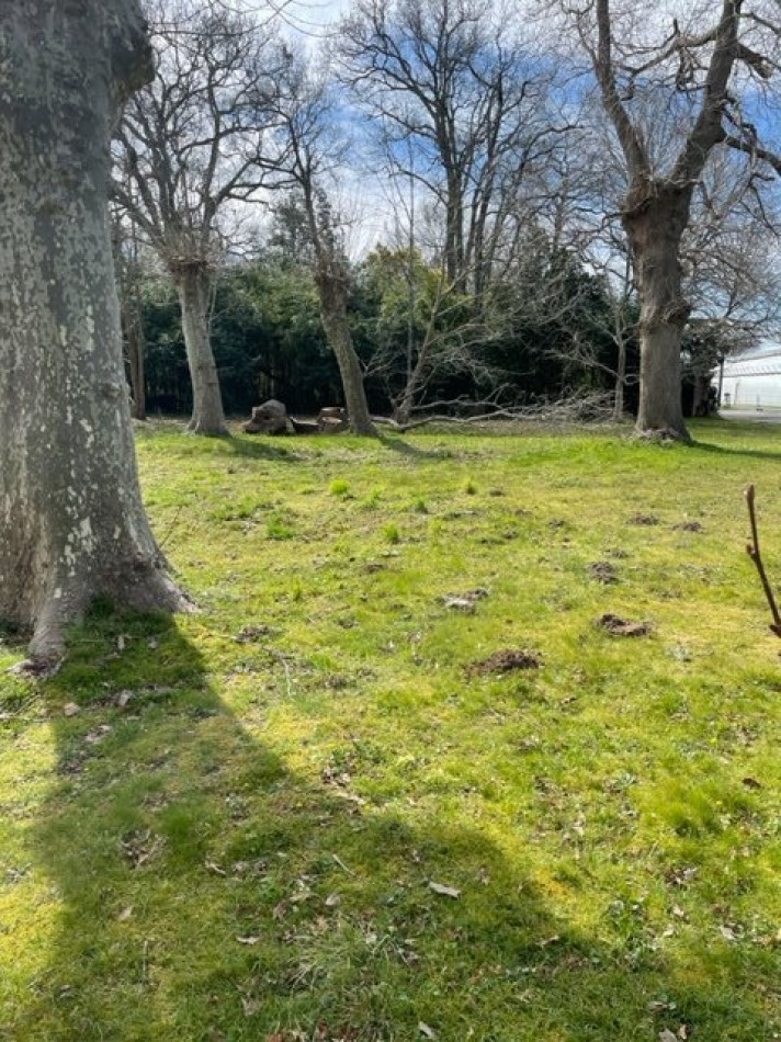 vente Terrain Tarnos - Photo 4