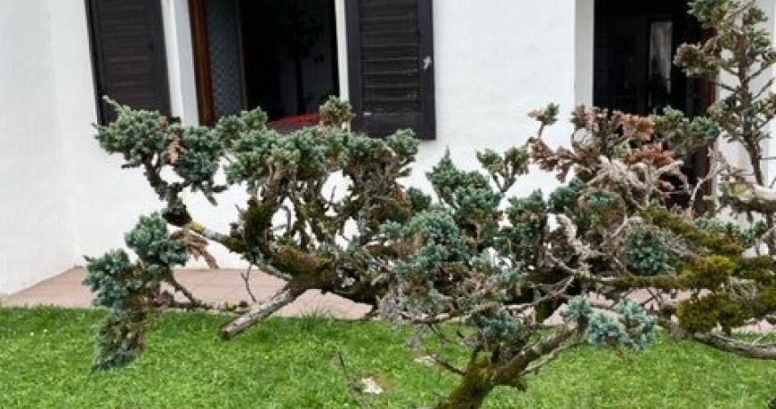 vente Maison Anglet