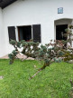 vente Maison Anglet