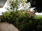 vente Maison Biarritz