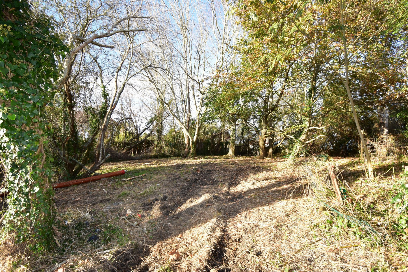 vente Maison Mouguerre - Photo 5