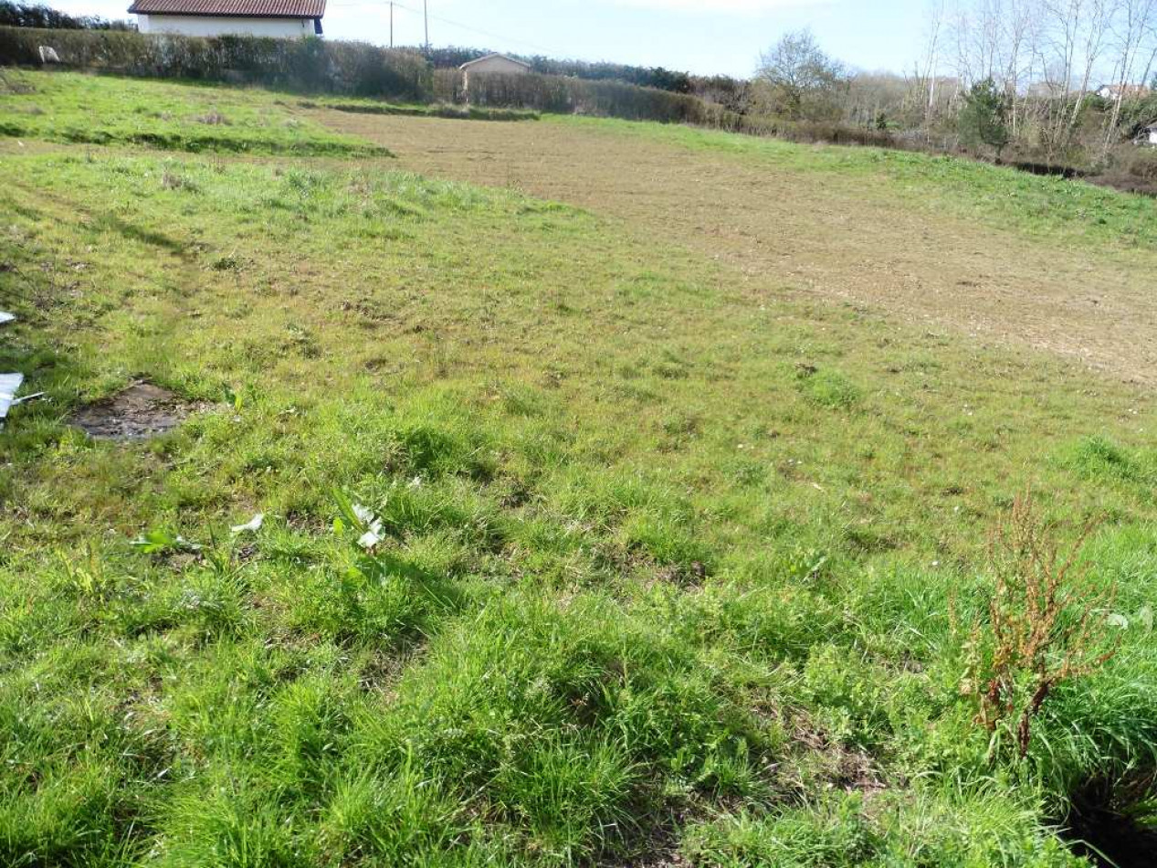 vente Terrain Villefranque - Photo 3