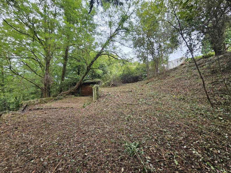 vente Terrain Ainhoa - Photo 1