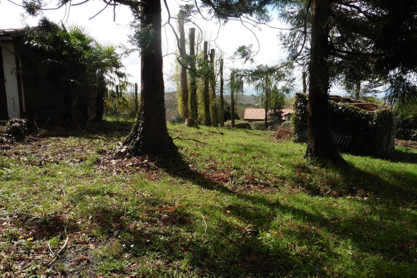 vente Terrain Saint Pierre D'irube - Photo 1