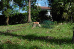 vente Terrain Saint Pierre D'irube