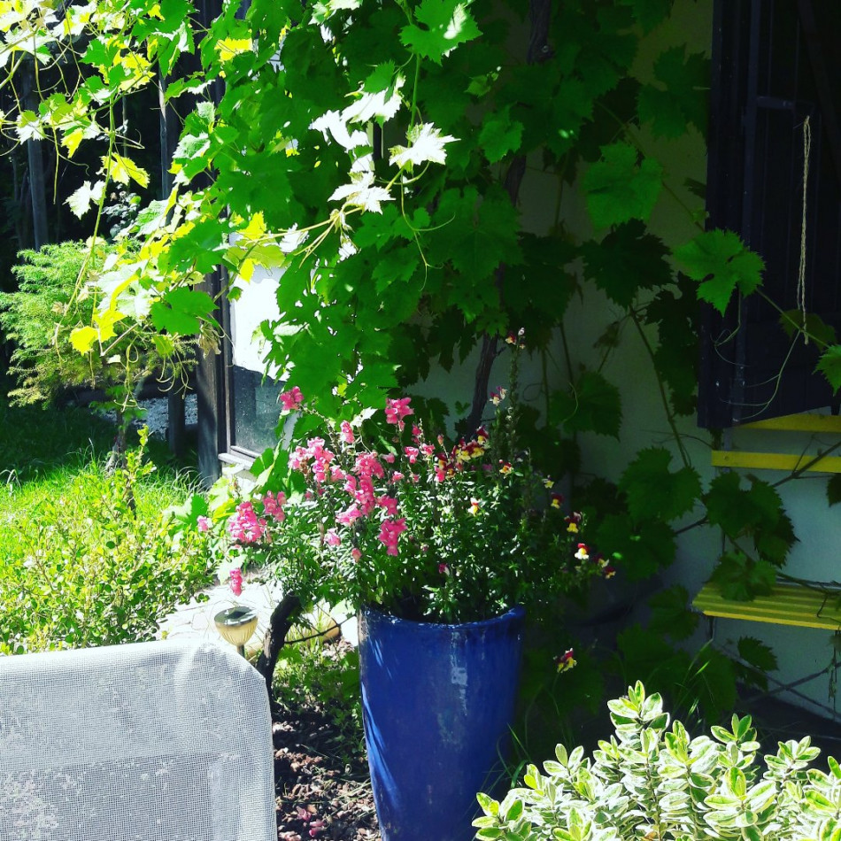vente Maison Anglet - Photo 3