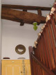 vente Appartement Tarnos