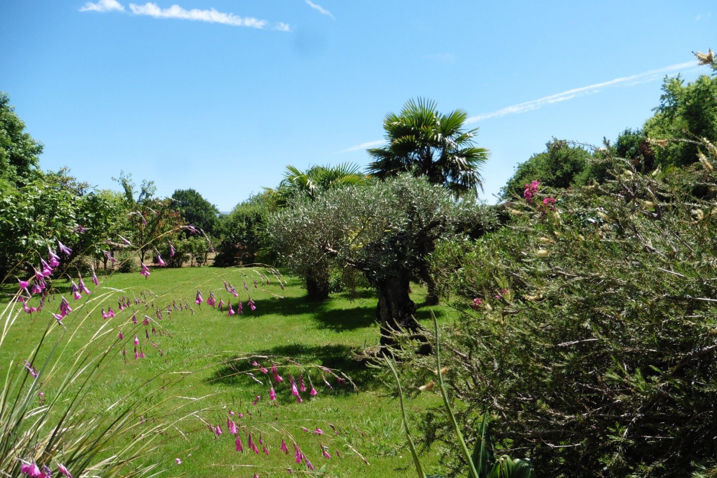 vente Maison Jatxou - Photo 7