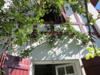 vente Maison Bayonne