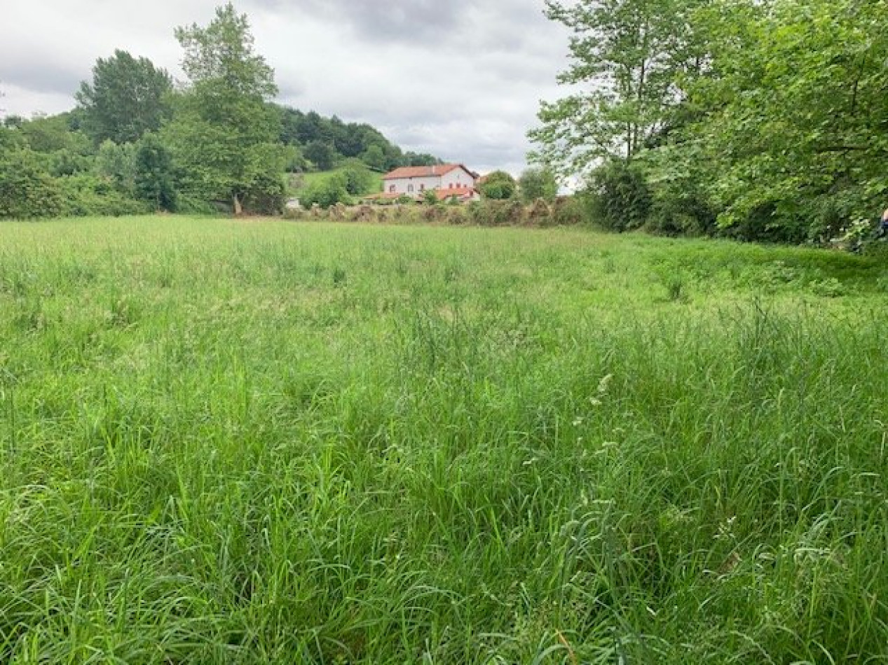 vente Terrain Osses - Photo 1