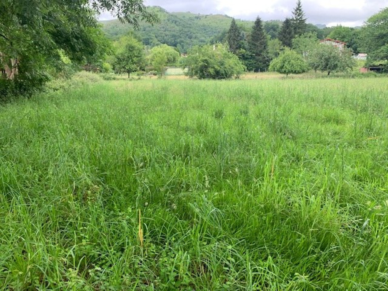 vente Terrain Osses - Photo 2