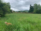 vente Terrain Osses