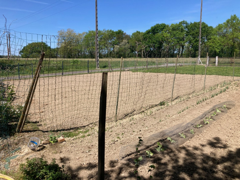 vente Maison Saint Laurent De Gosse - Photo 9