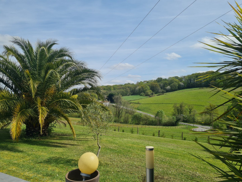 à vendre Maison Ramous - Photo 3