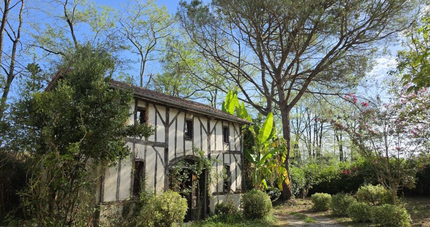 vente Maison Habas
