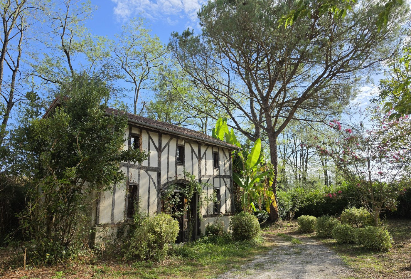 vente Maison Habas - Photo 4