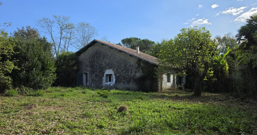 vente Maison Habas