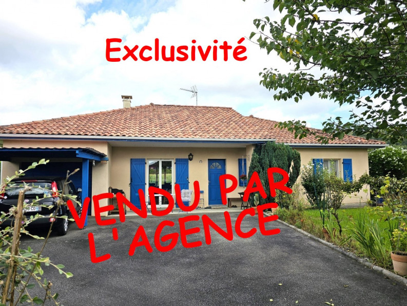 à vendre Maison Puyoo - Photo 1