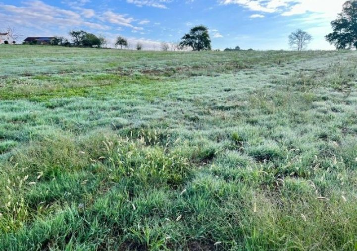à vendre Terrain constructible Ramous