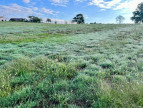 à vendre Terrain constructible Ramous