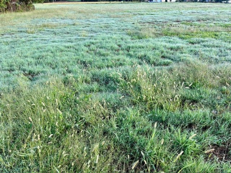 à vendre Terrain constructible Ramous - Photo 3