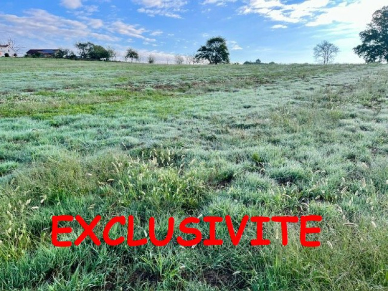 à vendre Terrain constructible Ramous - Photo 1