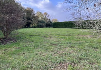 vente Terrain Ramous