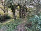 à vendre Terrain Ramous