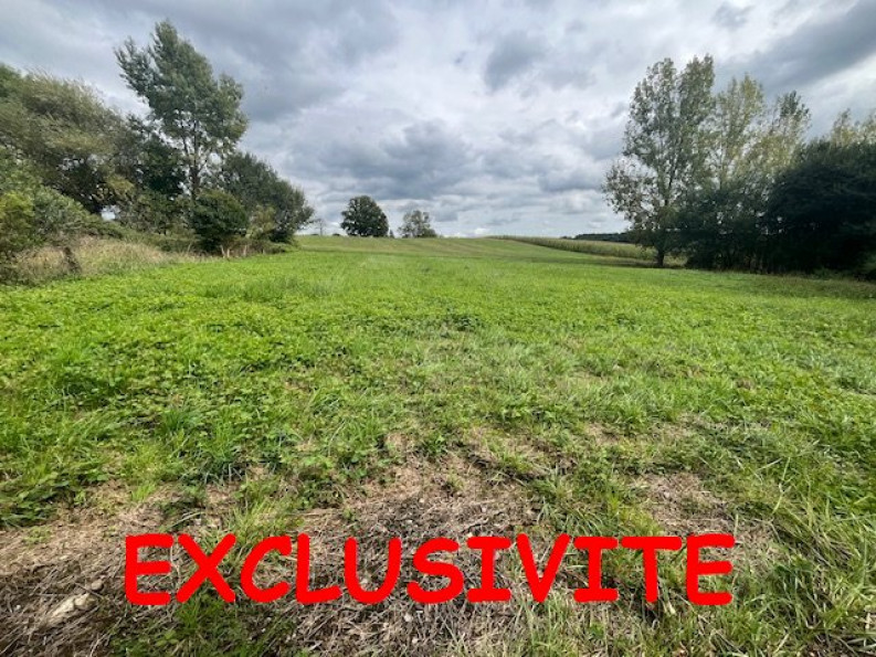 vente Terrain constructible Ramous - Photo 1