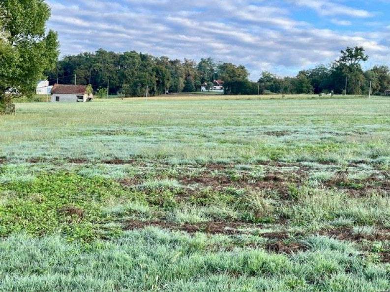 vente Terrain constructible Ramous - Photo 2